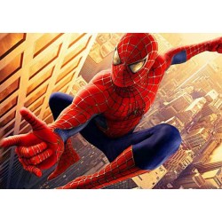 Spider Man 2 Yenilebilir Pasta Resim Baskısı